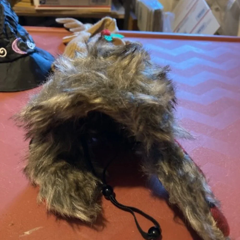 Cat hats